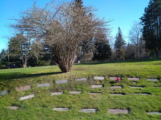 Hillcrest Burial Park