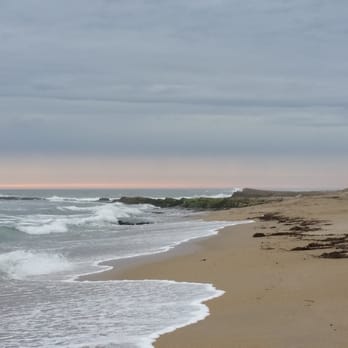 Scott Creek Beach - Beaches Near Me - Davenport, California Scott Creek Beach - Beaches Near Me - Davenport, California
