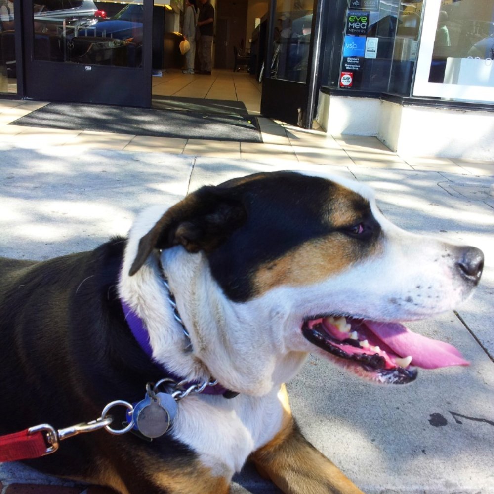 Clear Optometry - Jackson Louie approved! :p - Optometrists Near Me - San Mateo, California