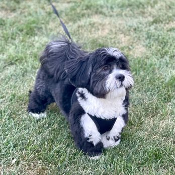 Kriser's Natural Pet - Pet Stores Near Me - Wilmette, Illinois