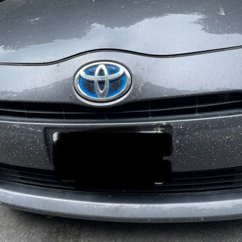Topline Automobile - Before detailing, covered in dead bugs - Auto Repair Near Me - San Mateo, California Topline Automobile - Before detailing, covered in dead bugs - Auto Repair Near Me - San Mateo, California