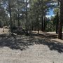 Photo of Hidalgo Landscaping
