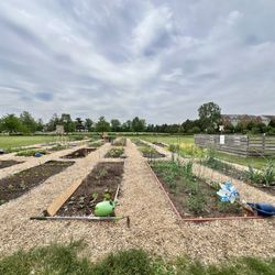 Plots to Plates Organic  Garden - Garden plots