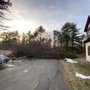 Photo of Good Neighbors