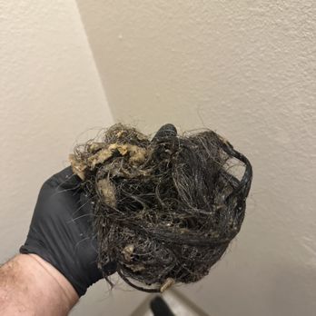 AK 907 Sewer & Drain Specialist - Pulled back mama Chewbacca!
That's what happens when you brush your hair over your bathroom sink! - Septic Services Near Me AK 907 Sewer & Drain Specialist - Pulled back mama Chewbacca!
That's what happens when you brush your hair over your bathroom sink! - Septic Services Near Me