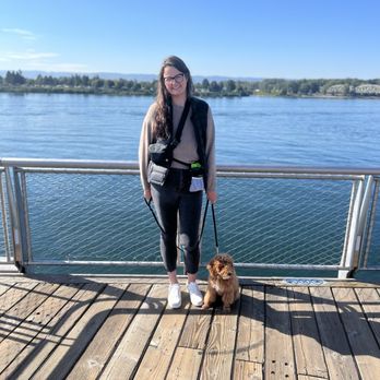 Enzos Dog Training - Sitting and walking along the river when a puppy! - Pet Training Near Me - Battle Ground, Washington