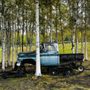 Photo of Tatlanika Gift Shop and Campground