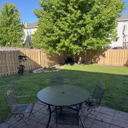 6' cedar, shadow, fence 6' cedar, shadow, fence