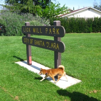 Lick Mill Park - Parks Near Me - Santa Clara, California Lick Mill Park - Parks Near Me - Santa Clara, California