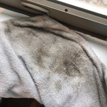 Owl Management - Dirt from just one set of small shutters - Property Management Near Me - Chicago, Illinois