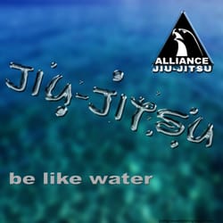 Alliance Brazilian Jiu-Jitsu