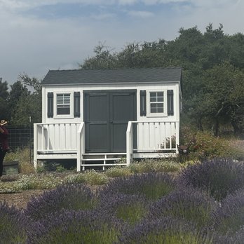 Santa Rita Hills Lavender Farm - Attraction Farms Near Me - Lompoc, California Santa Rita Hills Lavender Farm - Attraction Farms Near Me - Lompoc, California