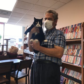 Keys News & Coffee - Mr Beans, the cutest cat!! - Coffee & Tea Near Me - Marathon, Florida Keys News & Coffee - Mr Beans, the cutest cat!! - Coffee & Tea Near Me - Marathon, Florida