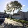 Photo of Reveriano & Daniel's Tree and Landscaping Service