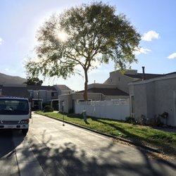 Reveriano & Daniel's Tree and Landscaping Service