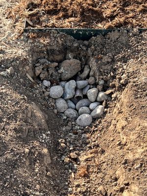 Colorado Designscapes