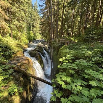 Olympic National Park - Sol Duc Waterfall is like "something out of Jurassic Park" - Parks Near Me - Port Angeles, Washington