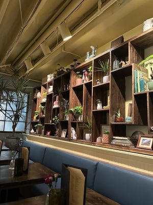 Condesa Phoenix by null