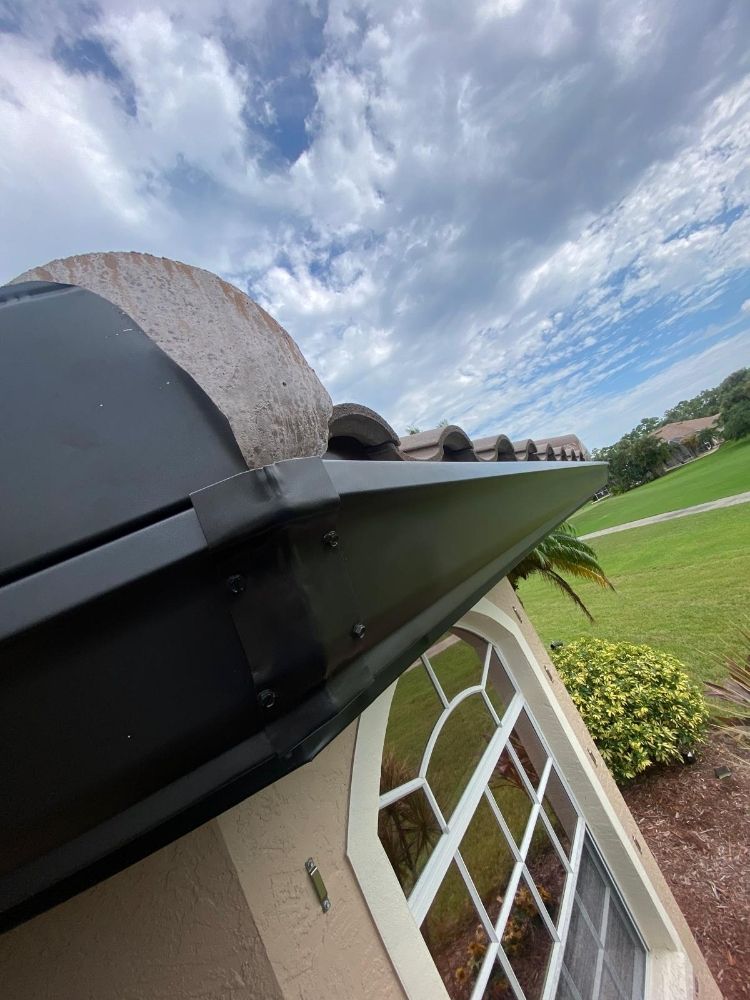 Slide of Castro's Services of FL