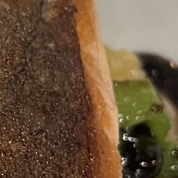 Fond BYOB - Salmon with a piece of hair in it - French Near Me - Wallingford, Pennsylvania Fond BYOB - Salmon with a piece of hair in it - French Near Me - Wallingford, Pennsylvania