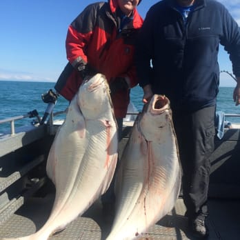 Key-O's Guide Service - 190lbs of Halibut on Cook Inlet. May 26,2015 - Fishing Near Me - Ninilchik, Alaska Key-O's Guide Service - 190lbs of Halibut on Cook Inlet. May 26,2015 - Fishing Near Me - Ninilchik, Alaska