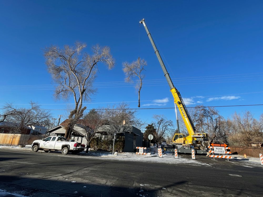 Diamond Tree Experts - tree service in Salt Lake City, UT