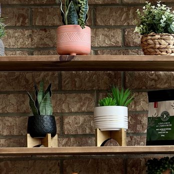 Edill’s Coffee House - Plants - interior - Coffee & Tea Near Me - Scarborough, Ontario Edill’s Coffee House - Plants - interior - Coffee & Tea Near Me - Scarborough, Ontario
