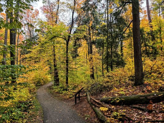 Hartwick Pines Logging Museum by null