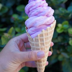 Reef’s Real Fruit Ice Cream - Blueberry real fruit ice cream.