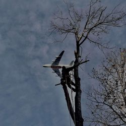 D&A Tree Service