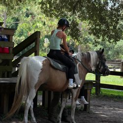 Cactus Jack's Trail Rides