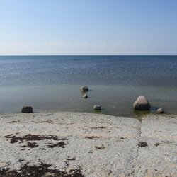 Neptuni Åkrar - Another world