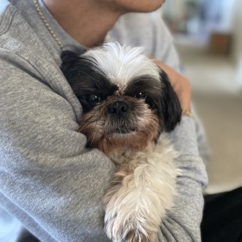 Best Friends Grooming - Pet Groomers Near Me - Daly City, California Best Friends Grooming - Pet Groomers Near Me - Daly City, California