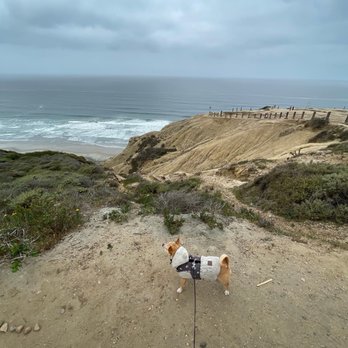 Black's Beach - Beaches Near Me - San Diego, California