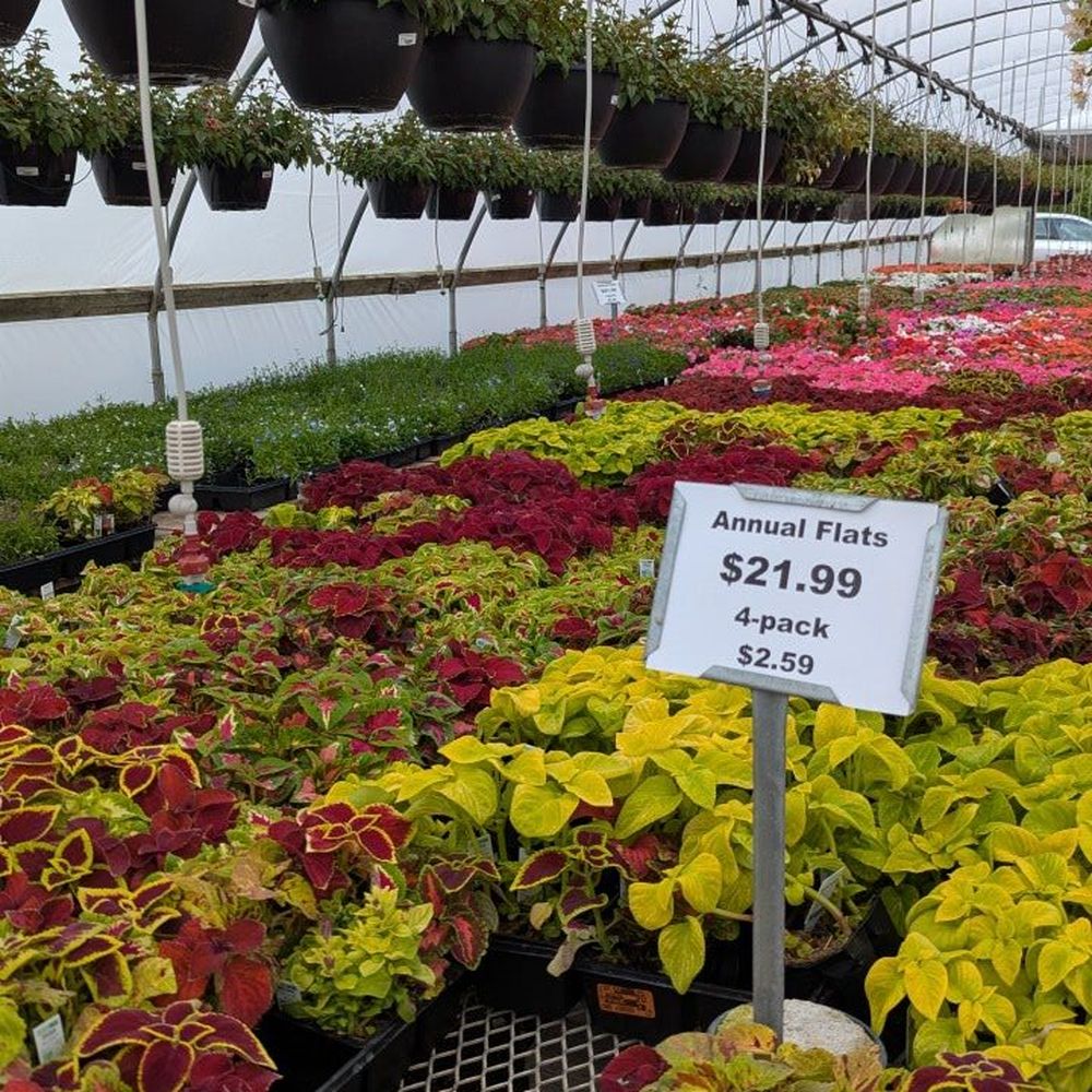 Bayside Garden Center - Nurseries & Gardening Near Me - Bayside, Wisconsin Bayside Garden Center - Nurseries & Gardening Near Me - Bayside, Wisconsin
