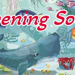Mermaid Bay Kids Indoor Play