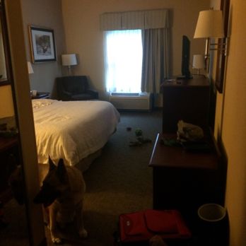 Hampton Inn Perry - Spacious room. Clean and comfortable. - Hotels Near Me - Perry, Florida