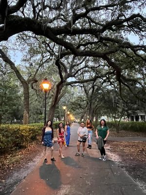 Forsyth Park by null
