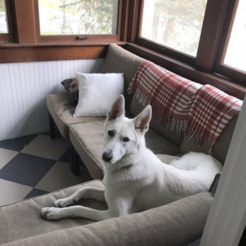 White Stone Kennels - Pet Breeders Near Me