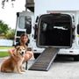 Photo of The Pet Taxi