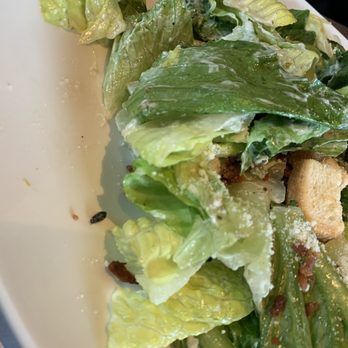 Barbies - Little bug found in the salad. - Barbeque Near Me - Charlemagne, Quebec