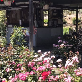 Roseland Nursery - Nurseries & Gardening Near Me - Rainbow, California