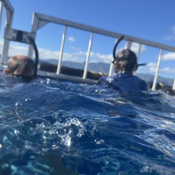 North Shore Shark Adventures - In the cage - Snorkeling Near Me - Haleiwa, Hawaii North Shore Shark Adventures - In the cage - Snorkeling Near Me - Haleiwa, Hawaii