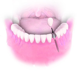 Aronda Jones, DDS