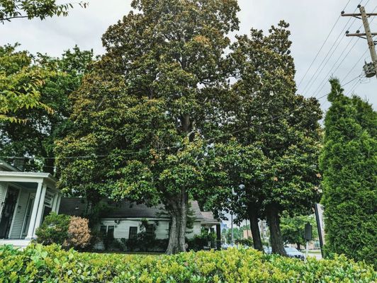 Slave Haven Underground Railroad Museum by null