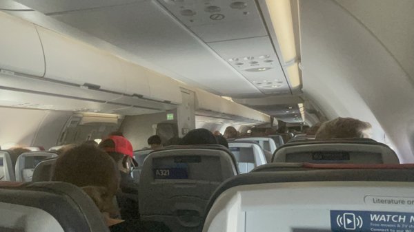 American Airlines by null