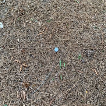 Topgolf - Ball on the sidewalk on Westside parkway. - Sports Bars Near Me - Alpharetta, Georgia Topgolf - Ball on the sidewalk on Westside parkway. - Sports Bars Near Me - Alpharetta, Georgia