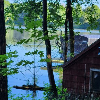 Trees Plus - Tree Services Near Me Trees Plus - Tree Services Near Me