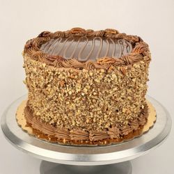 Turtle Mocha Cake