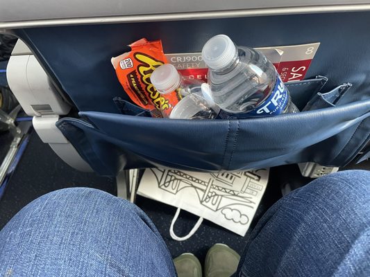Delta Air Lines by null